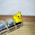 403606941_897935805086988_1627105425965933234_n.jpg KEYCAPS ROI CANARD