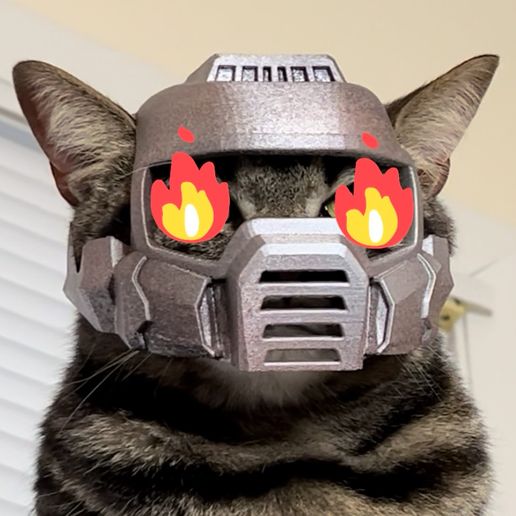 IMG_3216.jpeg Doom Marine Cat Helmet 🔥🔥