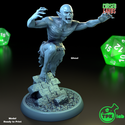 29.png 3D file Ghoul 2・3D printing model to download, TPKLab