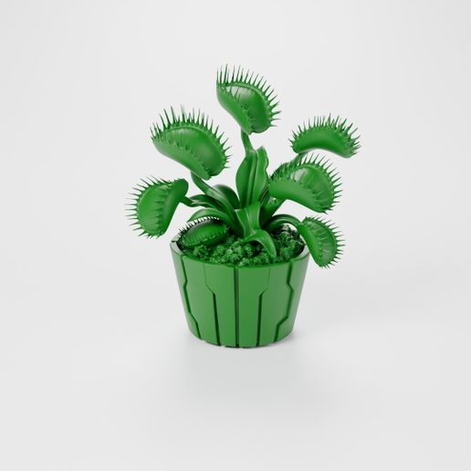 Venus Atrapamoscas en Maceta (Dionaea) – Planta Carnívora Decorativa 3D