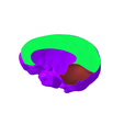 10.png Subdivision of cranial dura mater SEGMENTED IN 3 PARTS