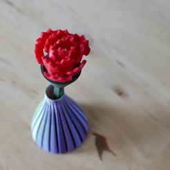 1299f471-e14e-4893-9cc6-f4b8860c80f4.jpeg Free 3D file Carnation・3D print object to download