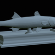 Barracuda-mouth-statue-32.png fish great barracuda / Sphyraena barracuda open mouth statue detailed texture for 3d printing
