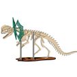 dilopho_classic-pic3.jpg [3Dino Puzzle] Classic Style Dilophosaurus
