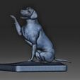 Dog-Labrador-wireframe.jpg Dog Labrador