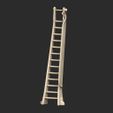 LibraryLadder.jpg Library Ladder