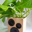 IMG_20230904_172233_1.jpg Speaker flowerpot / Maceta altavoz