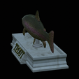 Trout-statue-16.png fish rainbow trout / Oncorhynchus mykiss statue detailed texture for 3d printing