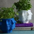 IMG_3542.jpg Polyface  PLANTER - PLANTER - POT