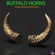 001.jpg Buffalo Horns - Satan Horns - Demon Horns