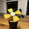 IMG_1090.jpeg Filament Flower - Giftable, Modular Spring Flower Kit