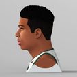 untitled.1935.jpg Giannis Antetokounmpo bust ready for full color 3D printing