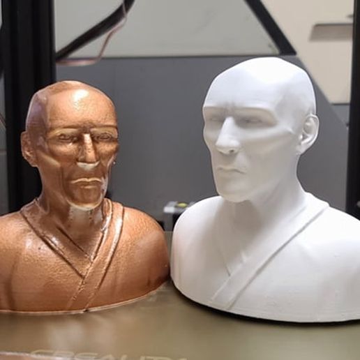 Helio Gracie No Stand Needed 3D model