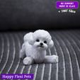 2.jpg Caniche Toy - Bichon Frise el juguete articulado realista para perro (#38)