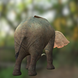 0_00041.png DOWNLOAD Elephant 3d model animated for blender-fbx-unity-maya-unreal-c4d-3ds max - 3D printing Elephant - Mammuthus - ELEPHANT