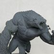 IMG_1965.jpg Free STL file Rattus Muscularis・3D printable design to download
