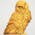 A01.png Owl 04