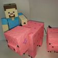 20200314_090122.jpg Minecraft Pig