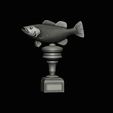 peacock-bass-trophy-3-1-2-17.png Peacock bass (Cichla ocellaris) fish trophy cup 2 for 3d printing