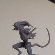 20230304_232651.jpg Predator Alien (Predalien)