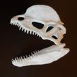20200929_231617.jpg STL file Dilophosaurus dinosaur skull・3D print design to download