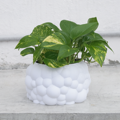 BUBU.png BUBU - Vase mode planter