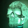 Spook4.jpg Spook Skull 3D Scan (Hollow)