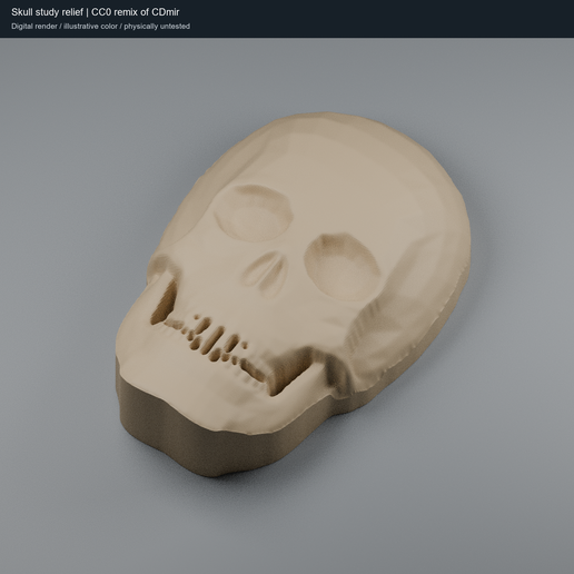 Faceted Skull Study Relief — Flat-Back Painting Sculpture | CC0 Remix