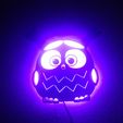 IMG_20190916_170202.jpg Baby Owl light lamp