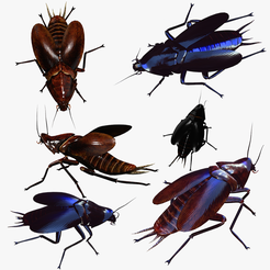 portada-unit.png COCKROACH - DOWNLOAD Cockroach 3d model - Animated for Blender-fbx-unity-maya-unreal-c4d-3ds max - 3D printing COCKROACH COCKROACHES COCKROACH