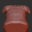 3.png Olde English Bulldogge Busto