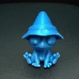 Cod1383-FrogWitchHat5-6.jpg Frog Witch Hat