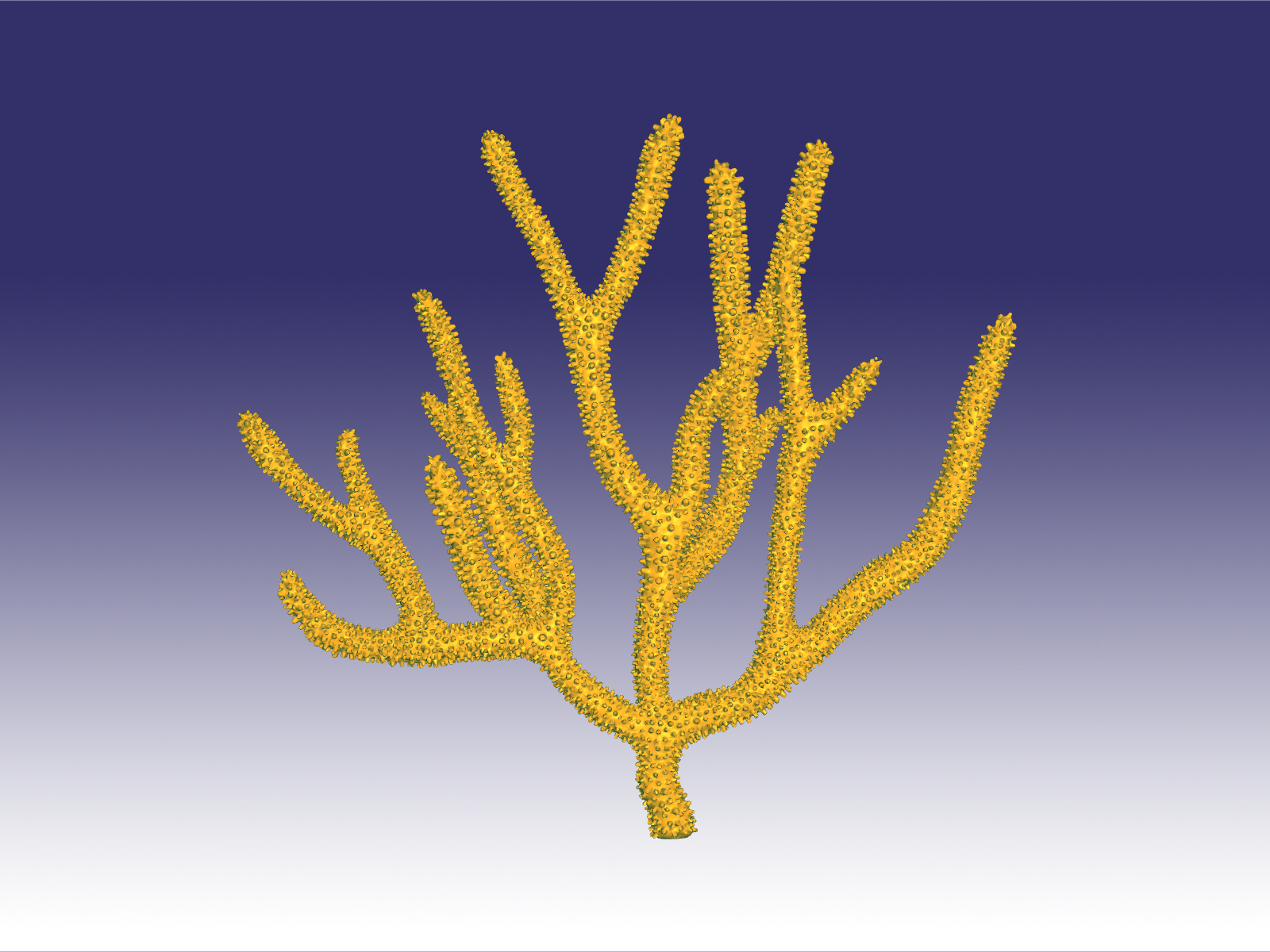 purple gorgonia coral.png Download OBJ file Purple gorgonia coral • 3D printable design, Dsignrcmc