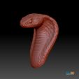 STL-00018-Königskobra_I.jpg Ophiophagus hannah-king cobra snake