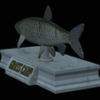 Grass-carp-statue-17.png fish grass carp / Ctenopharyngodon idella statue detailed texture for 3d printing