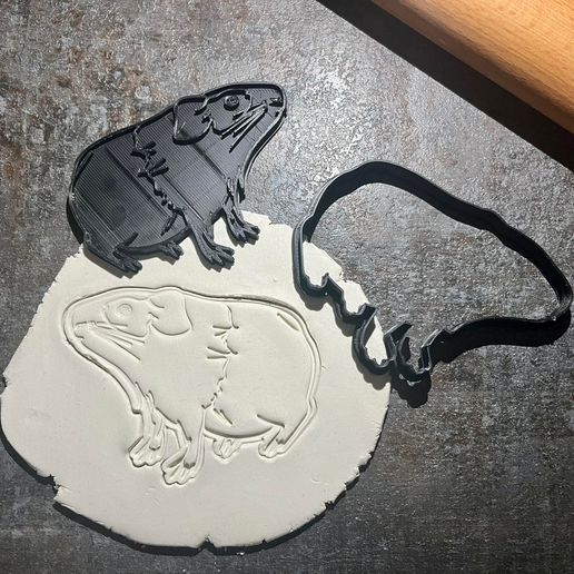 262900043_490445202286075_7127152616308973750_n.jpg Guinea Pig Cookie Cutter