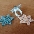 DSC_0229.JPG MODULAR RING