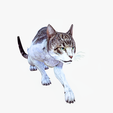 portada-p.png CAT - DOWNLOAD CAT 3d model - animated for blender-fbx-unity-maya-unreal-c4d-3ds max - 3D printing CAT CAT - POKÉMON - FELINE - LION - TIGER