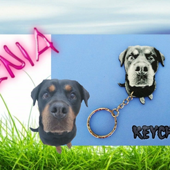 Diseño_sin_título_56.png Free STL file Rottweiler ENIA keychain・Template to download and 3D print
