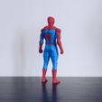 IMG_4402b.JPG Low Poly Spider-Man