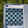 PXL_20210731_165753971.jpg Travel Chess Tube