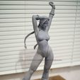 IMG_1536.jpg Cammy Street Fighter Fan Art Statue 3d Printable