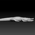 cro3.jpg Crocodile - Crocodile for game - unity 3d - ue5- Crocodile toy