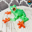 3.png Cinder Frog, Articulating Frog, Tree Frog, Dart Frog, Cinderwing3D, Articulating Flexible Fidget Cute Print in Place No Supports