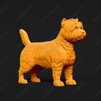 3079-Cairn_Terrier_Pose_01.jpg Cairn Terrier Dog 3D Print Model Pose 01