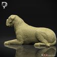 Bullmastiff-Pose-07-Dog-3D-Print-7s.jpeg Bullmastiff Dog 3D Print Model Pose 07