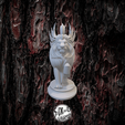 3-03-29-40-4946.png Crowned Lion - SoliDRawinGs C265