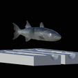 Am-bait-breaking-barracuda-13cm-4mm-eye-8.png AM bait great barracuda fish 13cm breaking form for predator fishing