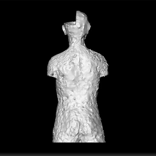 STL file human half heart half adomin - human anatomy 💜 ・3D printable ...