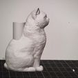 1769344052523.jpg Cat whiskers (Pet Hair) holder - Cat sculpture